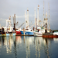 Marine & Fishing Vessels