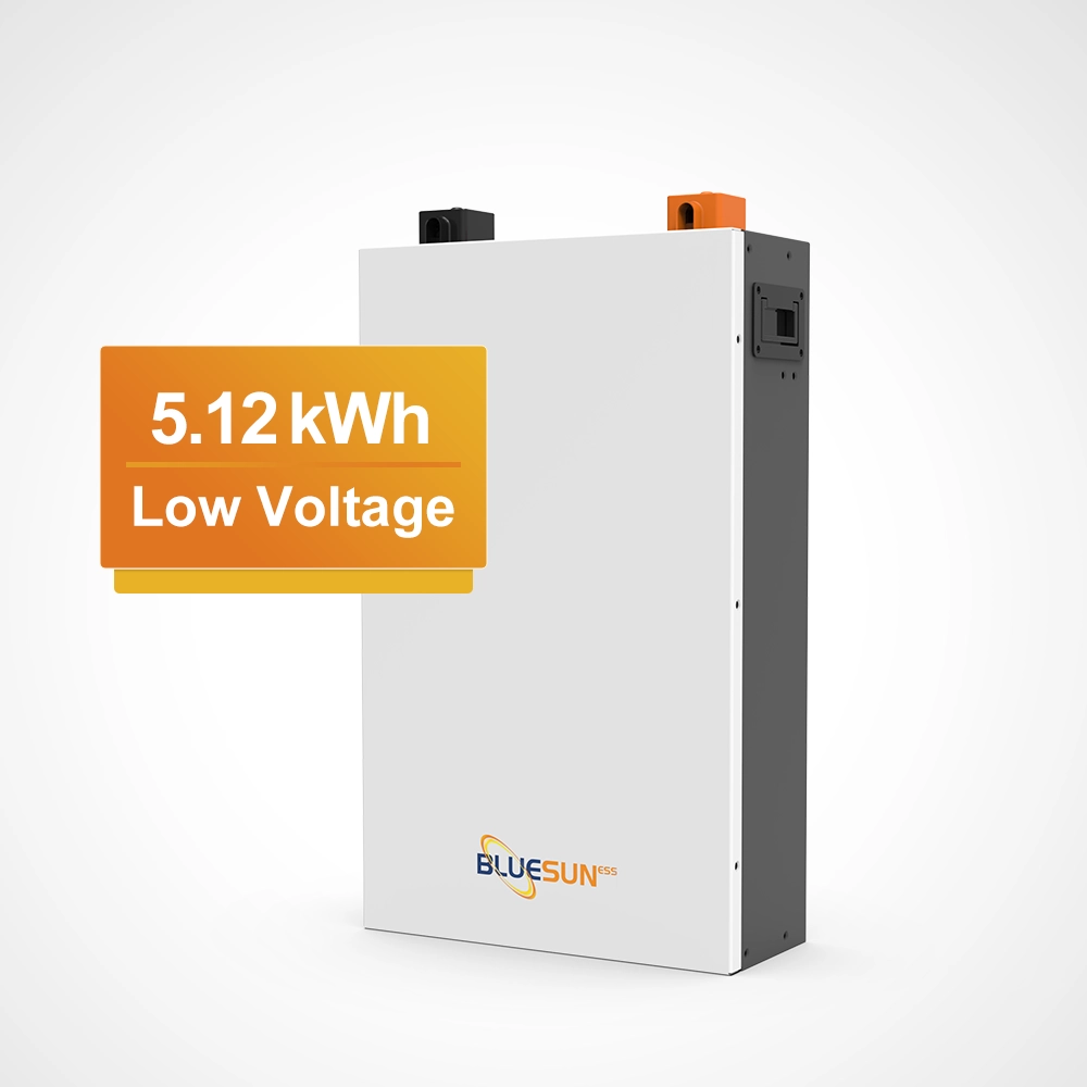 51.2V 100Ah Wall-Mounted Lithium Battery for Home Energy Storage with Smart BMS